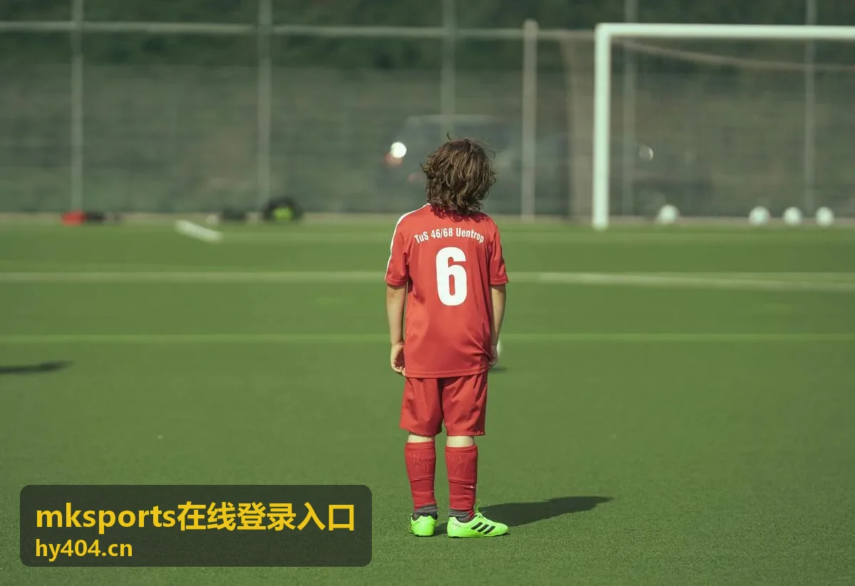 mksports在线登录入口常见问题处理配图