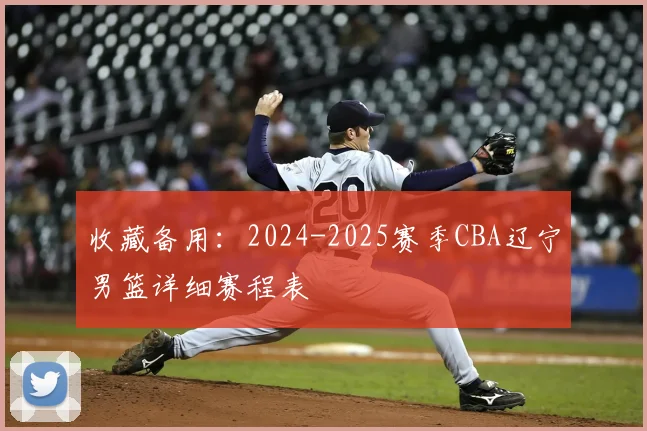 收藏备用：2024-2025赛季CBA辽宁男篮详细赛程表
