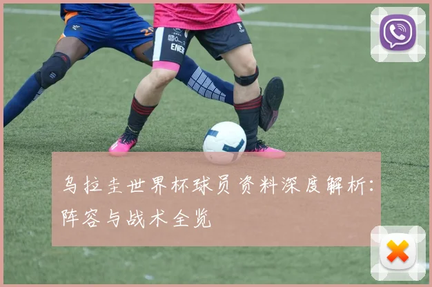 乌拉圭世界杯球员资料深度解析:阵容与战术全览