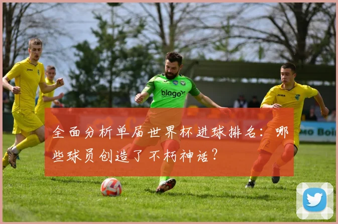 全面分析单届世界杯进球排名：哪些球员创造了不朽神话？
